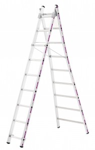 Echelle transformable 2 plans Pronor